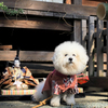 座間神社の春よこい　ひなまつり。