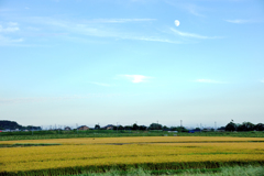 中秋の名月、前夜