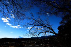 遠くに富士
