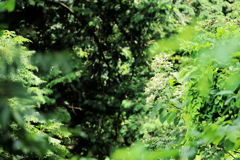 折り重なるように