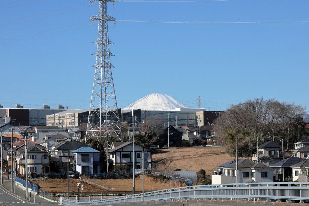 富士山