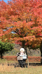 宮ヶ瀬湖畔園地　愛犬の記念撮影