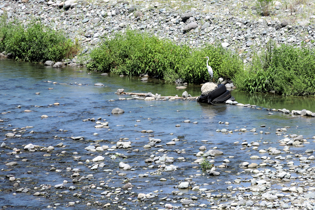 なぜ目立つ石の上に