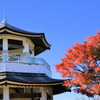 弘法山公園の紅葉