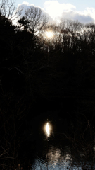 夕暮れ