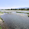 酒匂川の河口