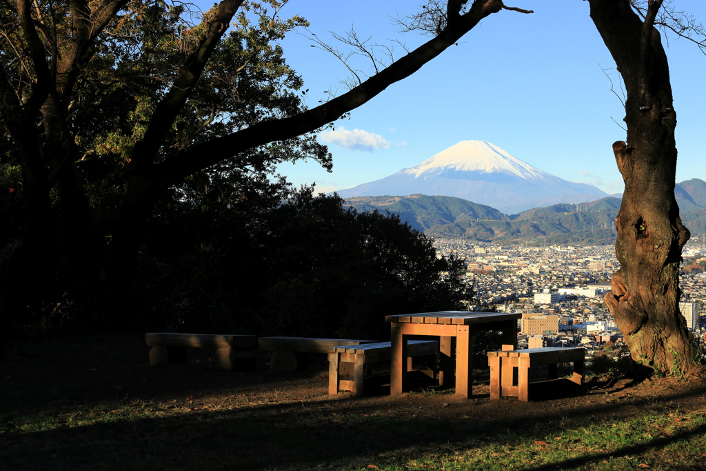 富士山スポットのひとつ