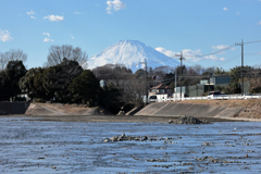 金目川と富士山