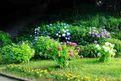 小さな花壇