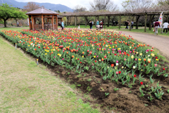 秦野戸川公園