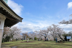 権現山の春