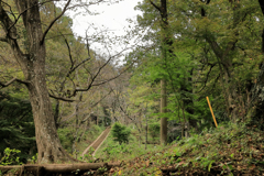 弘法山　頂上への階段