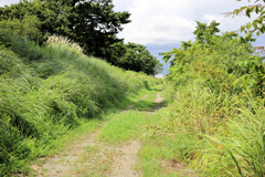 照りつける沿道に影