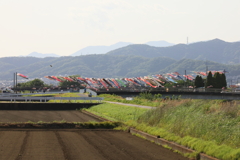 鈴川鯉のぼりまつり