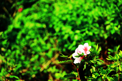 辺りを見渡して