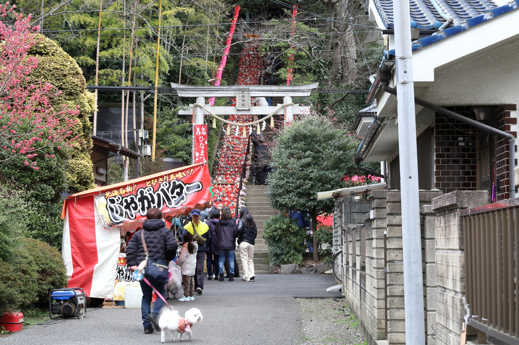 令和６年　春よこい　ひなまつり