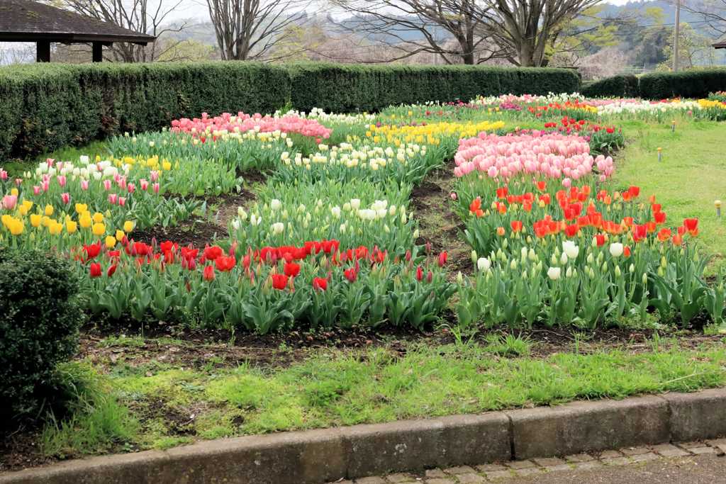 秦野戸川公園