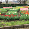 秦野戸川公園