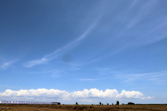 六月の三浦庚申塔あたり