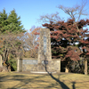 弘法山公園の紅葉