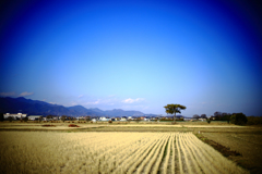 昔のことのように