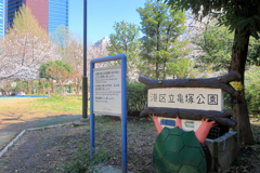 亀塚公園の桜