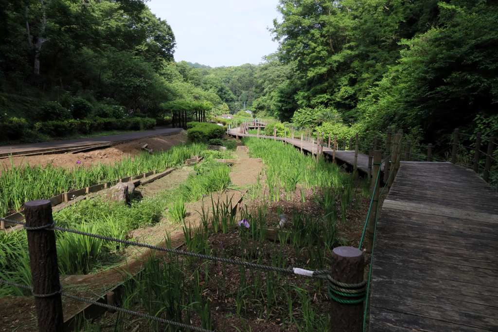 二宮せせらぎ公園　最上部から眺める