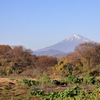 紅葉の先に富士山