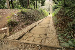 弘法山　下り坂