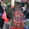 座間神社の春よこい　ひなまつり。　