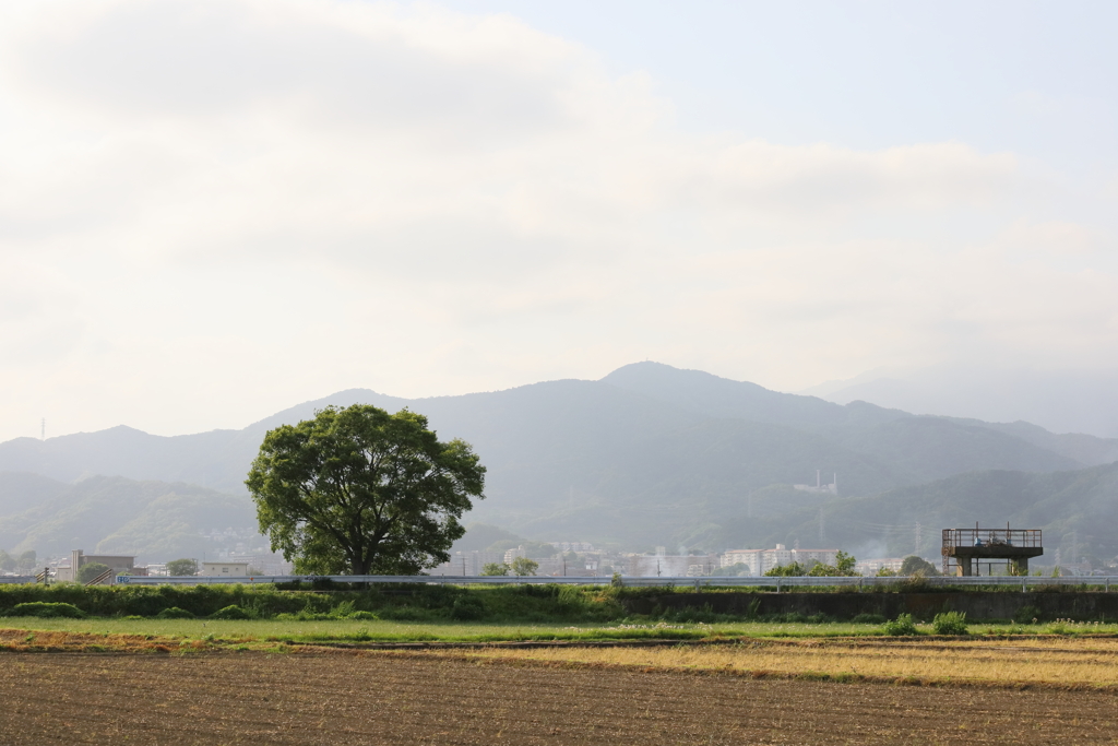 農道の風景