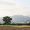 農道の風景