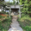 浮島稲荷神社の彼岸花　鳥居