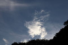 夕暮れを待つ雲