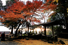 朝日と紅葉