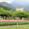 秦野戸川公園