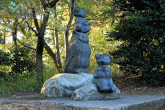晩秋の弘法山　森と生きる