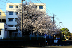 マンションがライバル