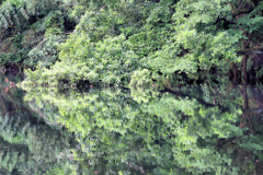 震生湖の鏡面