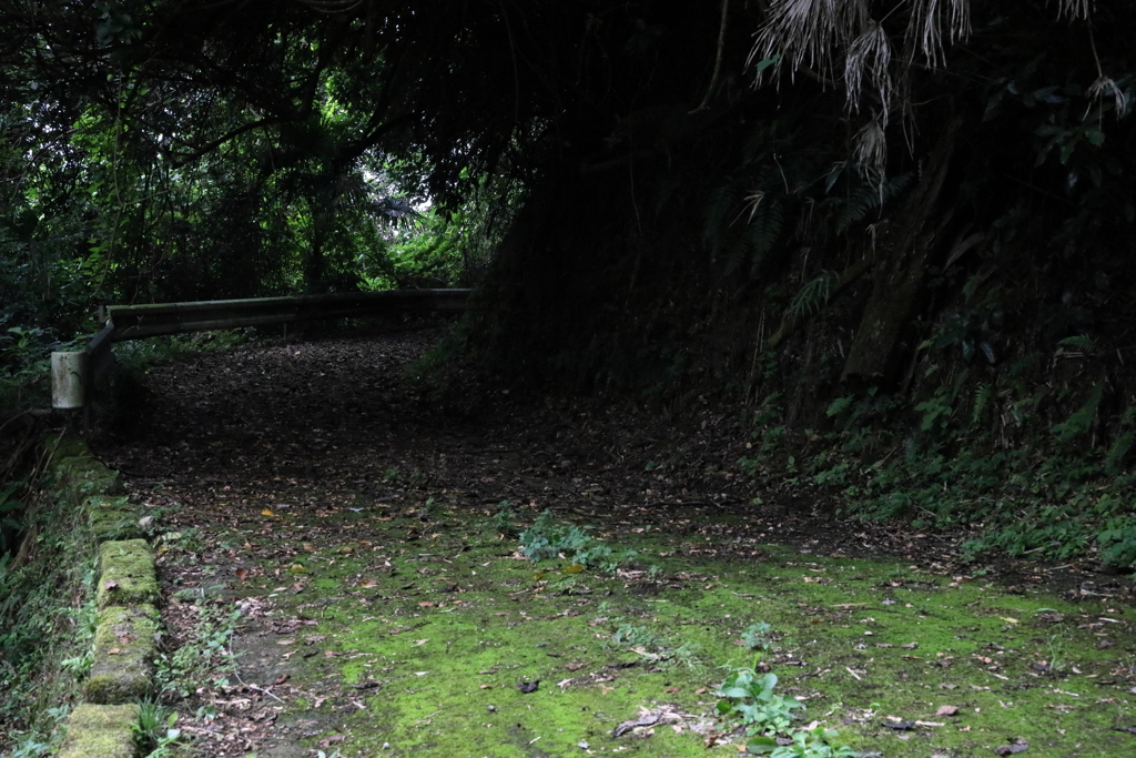 山奥の脇道の先