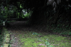 山奥の脇道の先