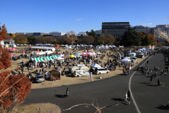 しっぽフェスタ in 昭和記念公園