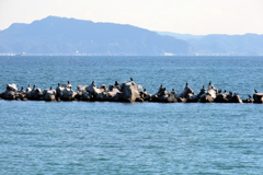 防波堤で一休み