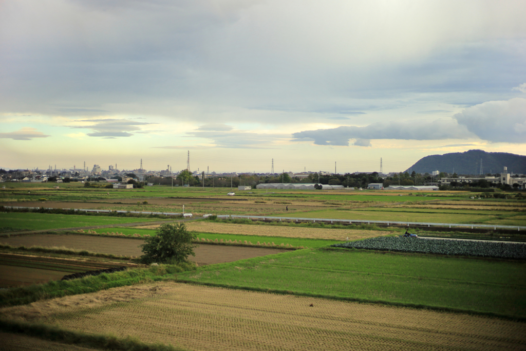緑の畑と茶色の畑