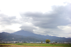 遠くに見える大山