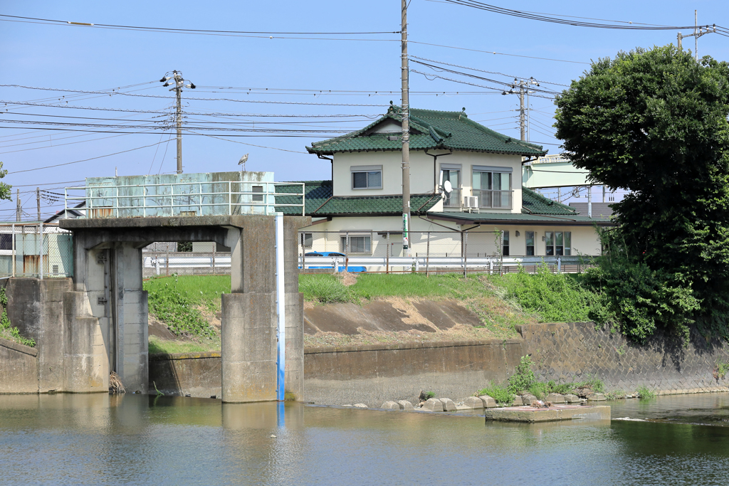 水門とサギ