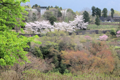 秦野戸川公園