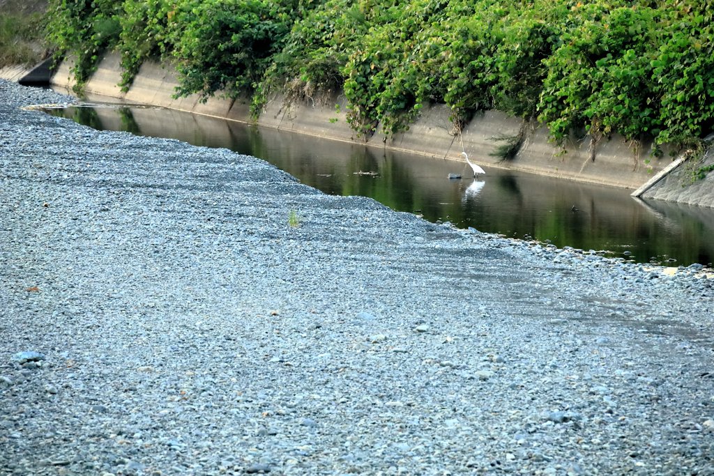 干上がる川