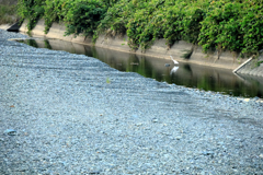 干上がる川