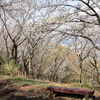 弘法山の春